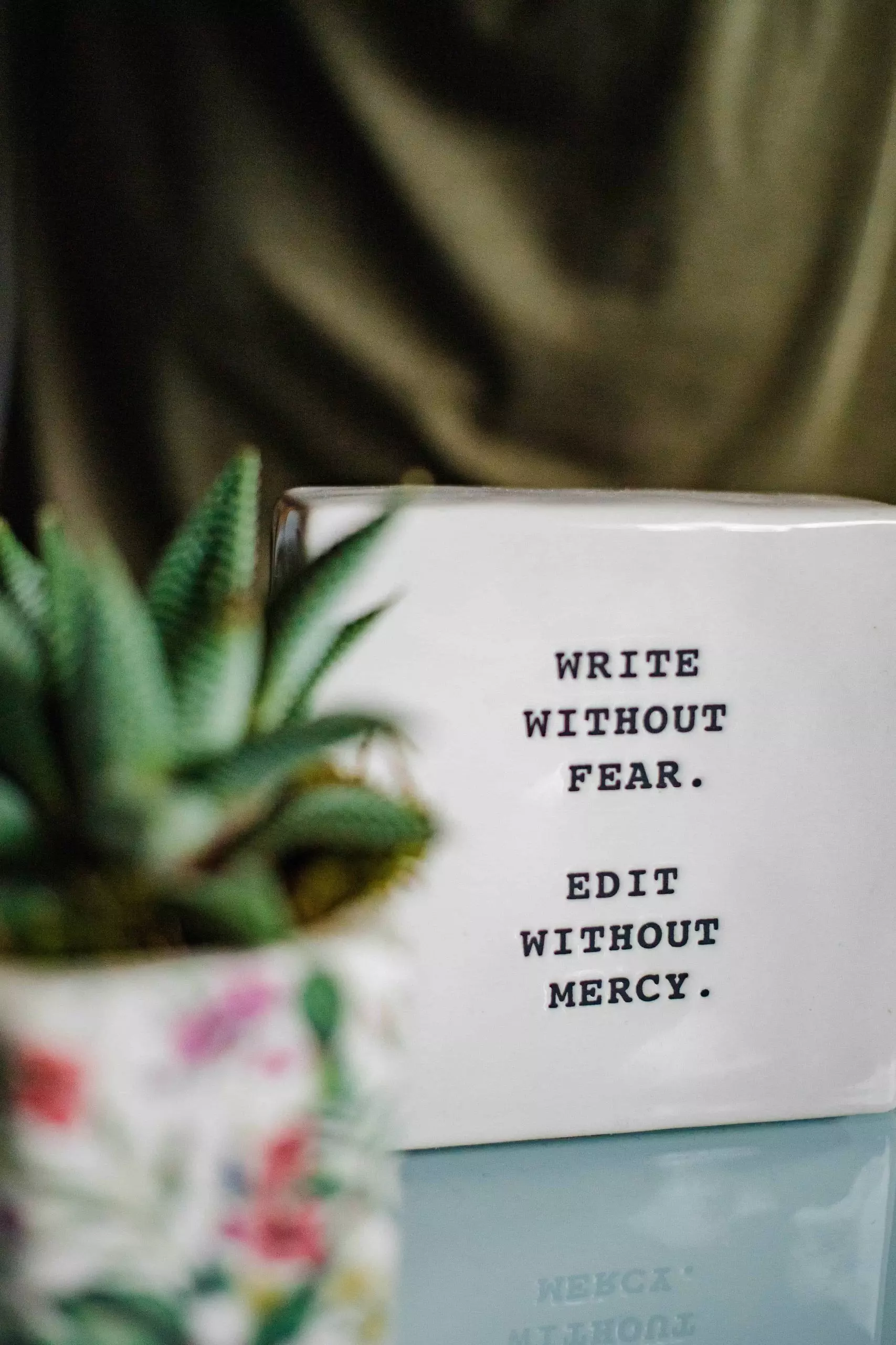 write-without-fear-edit-without-mercy