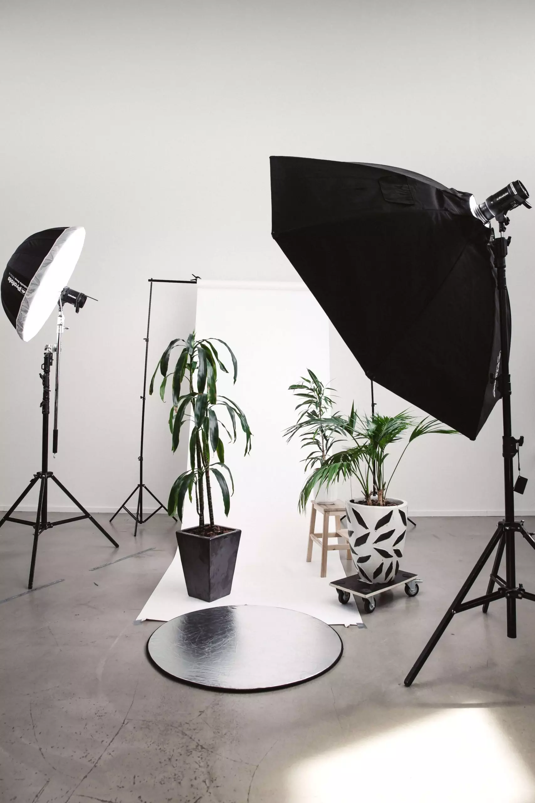 photography-setup-with-lighting-white-background-and-decorative-plants